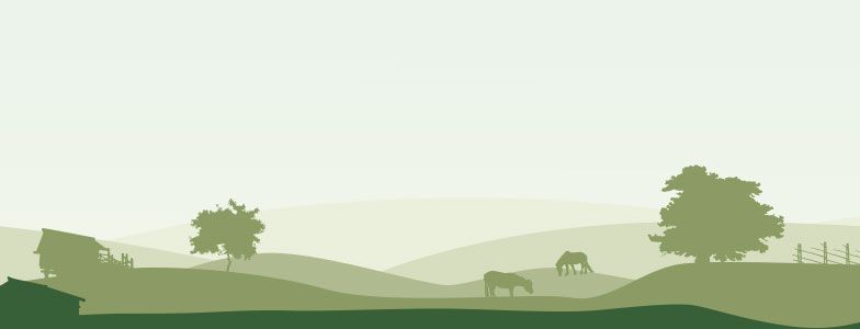 Dorfgrafik