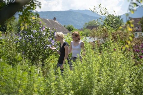 nature around Benediktbeuern