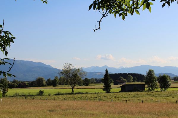 Moos bei Benediktbeuern