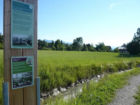 Infostele am Mühlbach